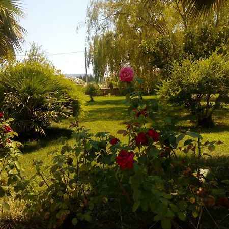 Apartamento Il Giardino Delle Rose A Olmedo Exterior foto