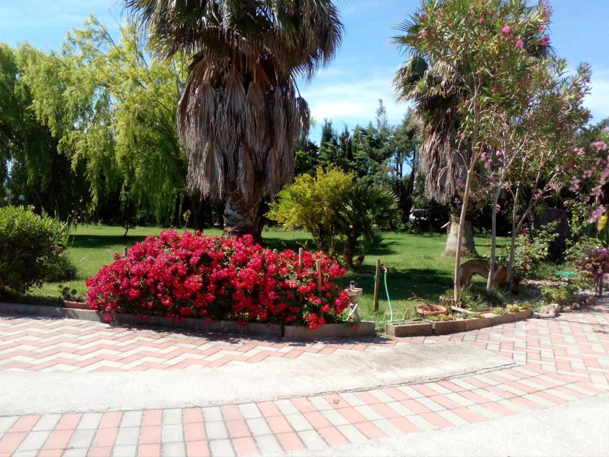 Apartamento Il Giardino Delle Rose A Olmedo Exterior foto