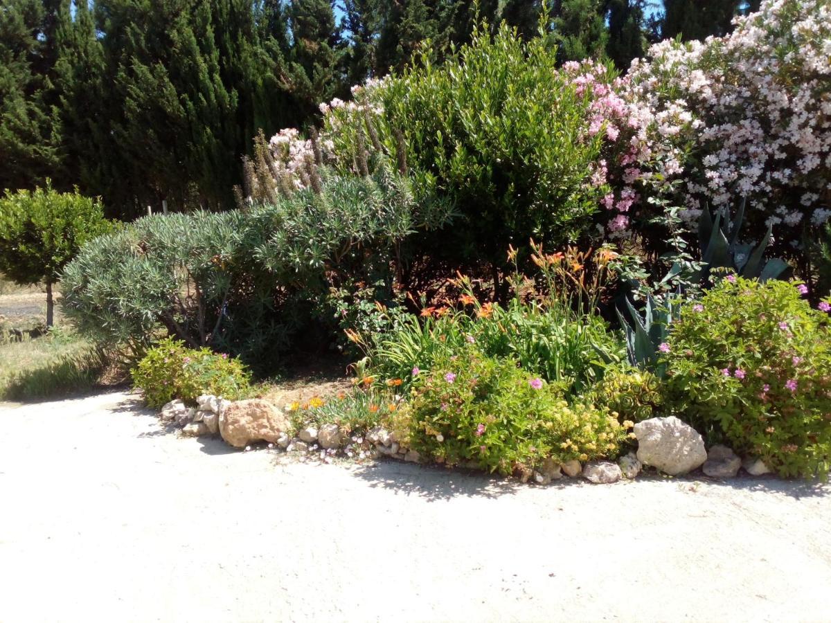 Apartamento Il Giardino Delle Rose A Olmedo Exterior foto