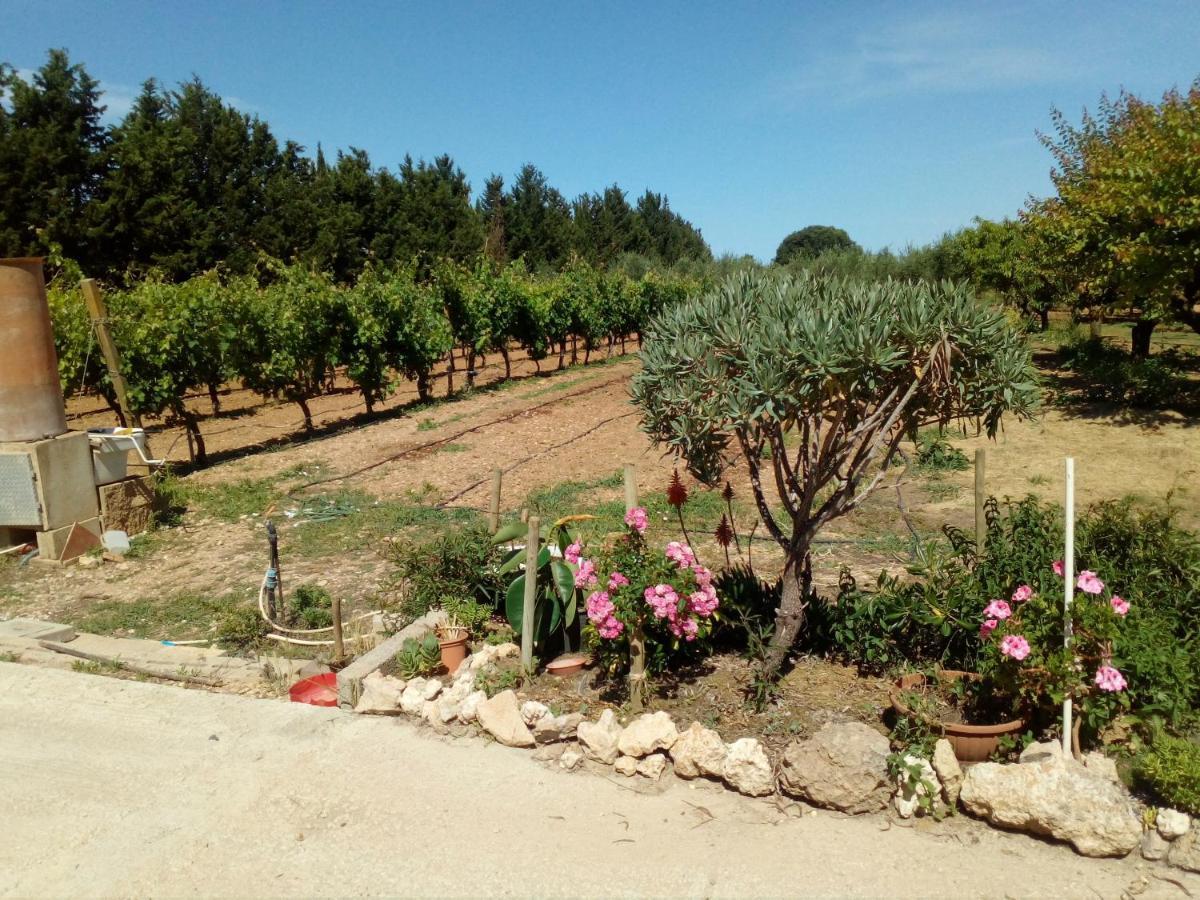 Apartamento Il Giardino Delle Rose A Olmedo Exterior foto