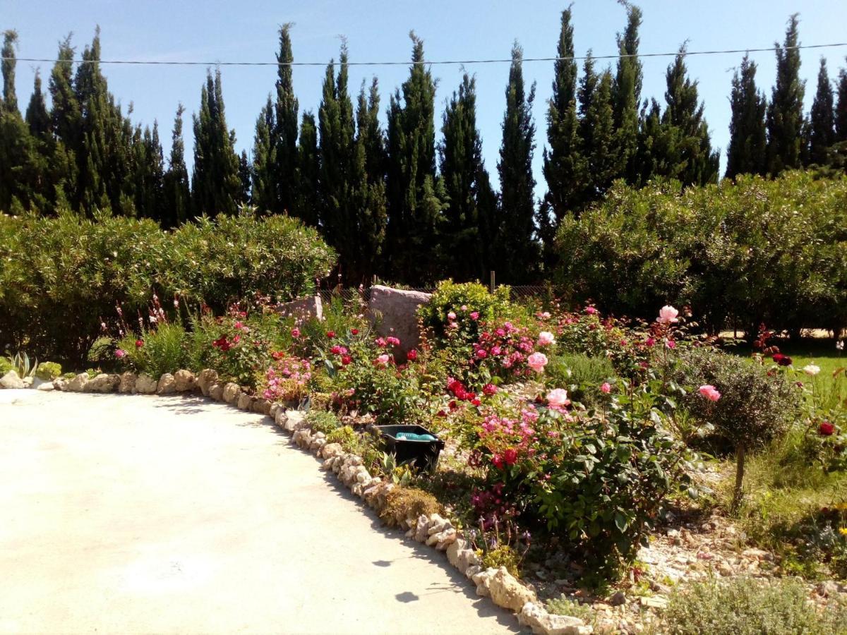 Apartamento Il Giardino Delle Rose A Olmedo Exterior foto