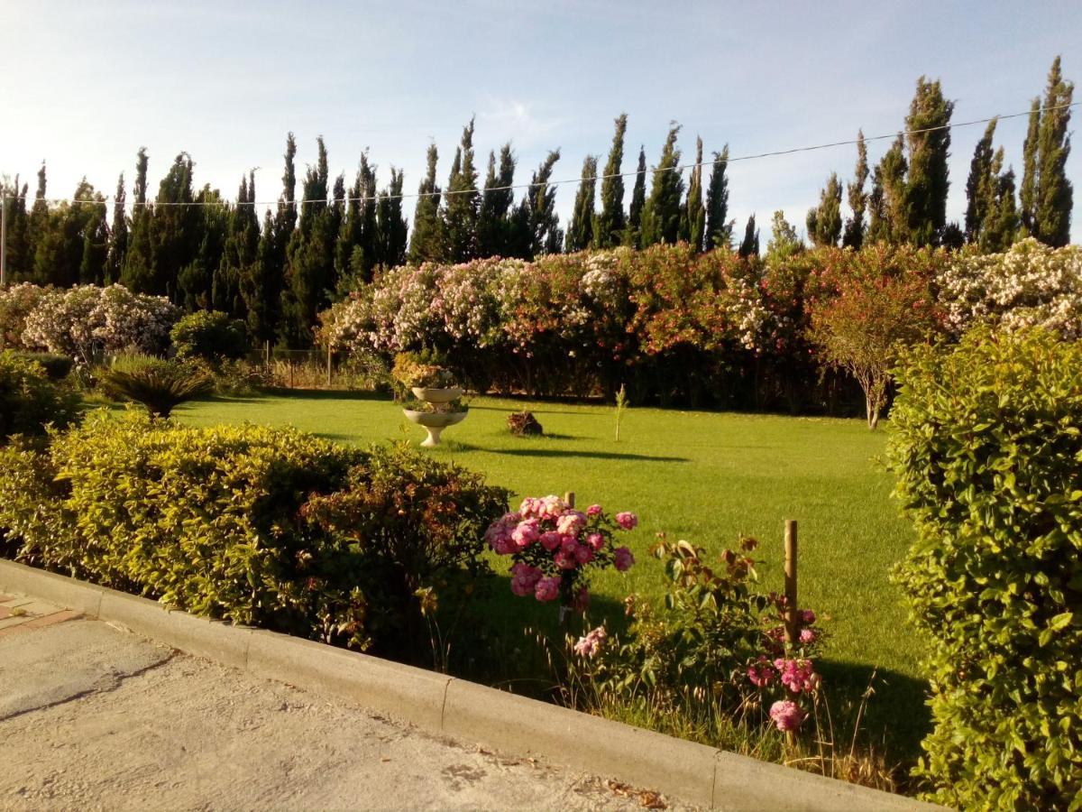 Apartamento Il Giardino Delle Rose A Olmedo Exterior foto