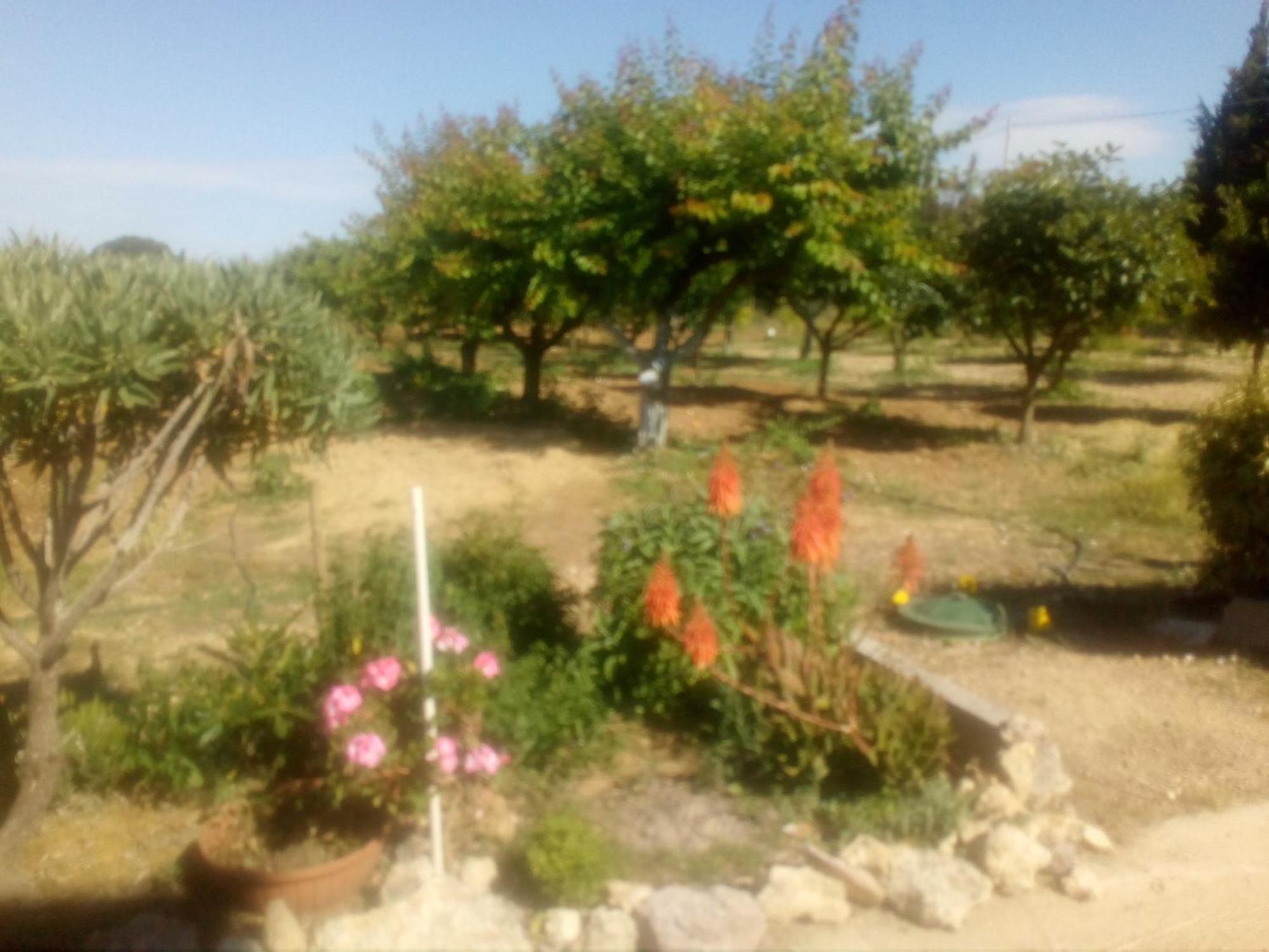 Apartamento Il Giardino Delle Rose A Olmedo Exterior foto