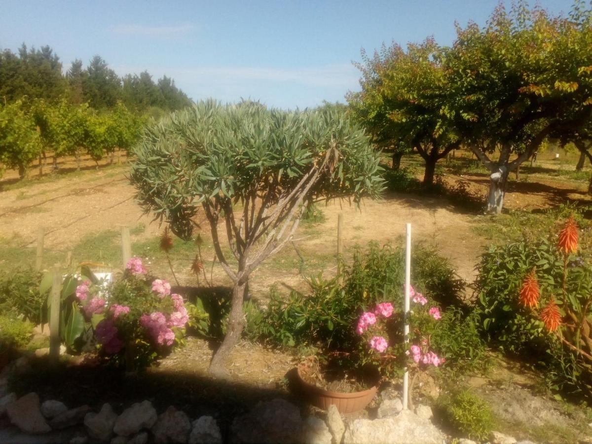 Apartamento Il Giardino Delle Rose A Olmedo Exterior foto