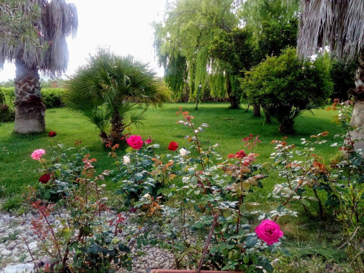 Apartamento Il Giardino Delle Rose A Olmedo Exterior foto