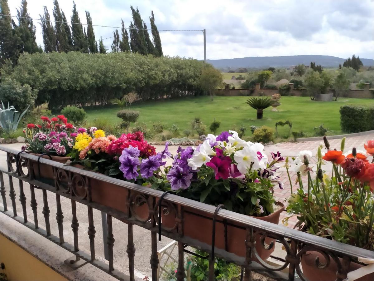 Apartamento Il Giardino Delle Rose A Olmedo Exterior foto