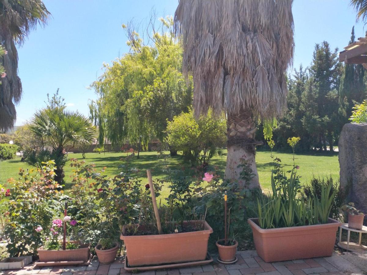 Apartamento Il Giardino Delle Rose A Olmedo Exterior foto