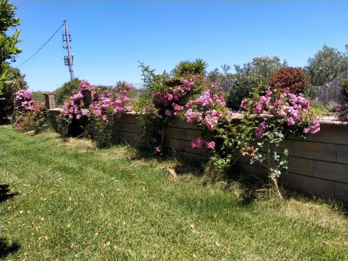 Apartamento Il Giardino Delle Rose A Olmedo Exterior foto