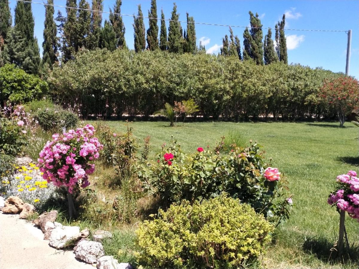 Apartamento Il Giardino Delle Rose A Olmedo Exterior foto