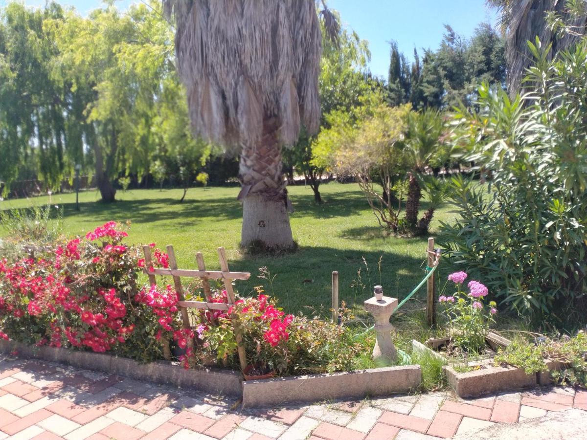 Apartamento Il Giardino Delle Rose A Olmedo Exterior foto