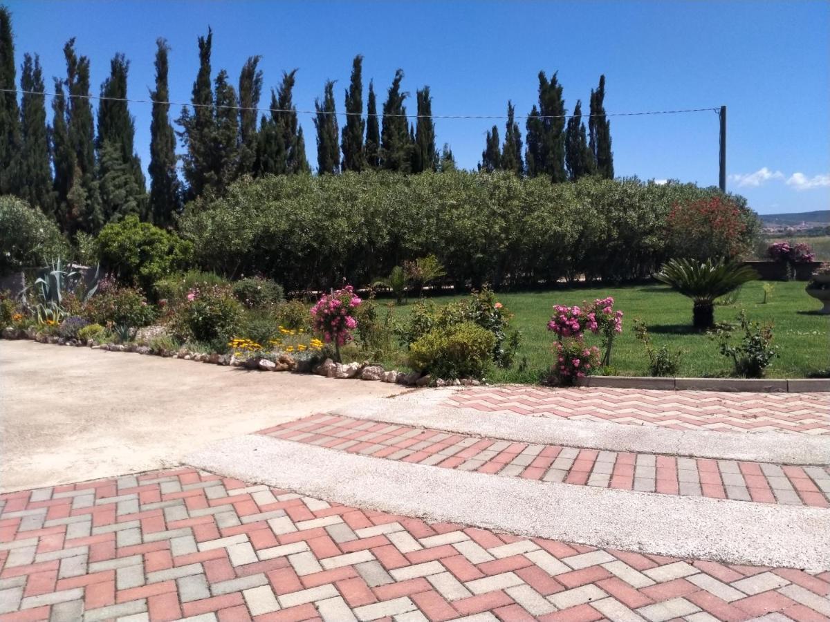 Apartamento Il Giardino Delle Rose A Olmedo Exterior foto