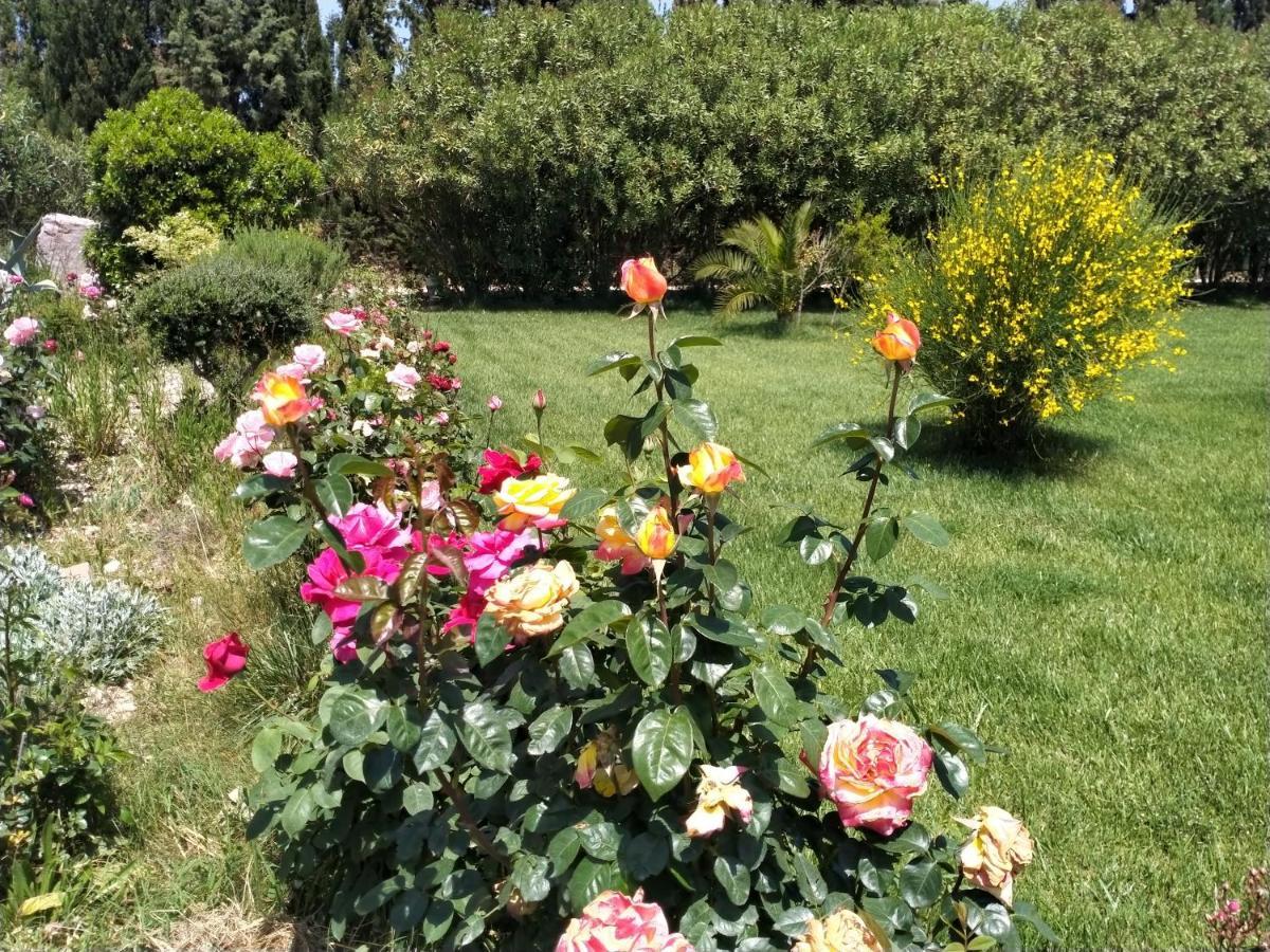 Apartamento Il Giardino Delle Rose A Olmedo Exterior foto