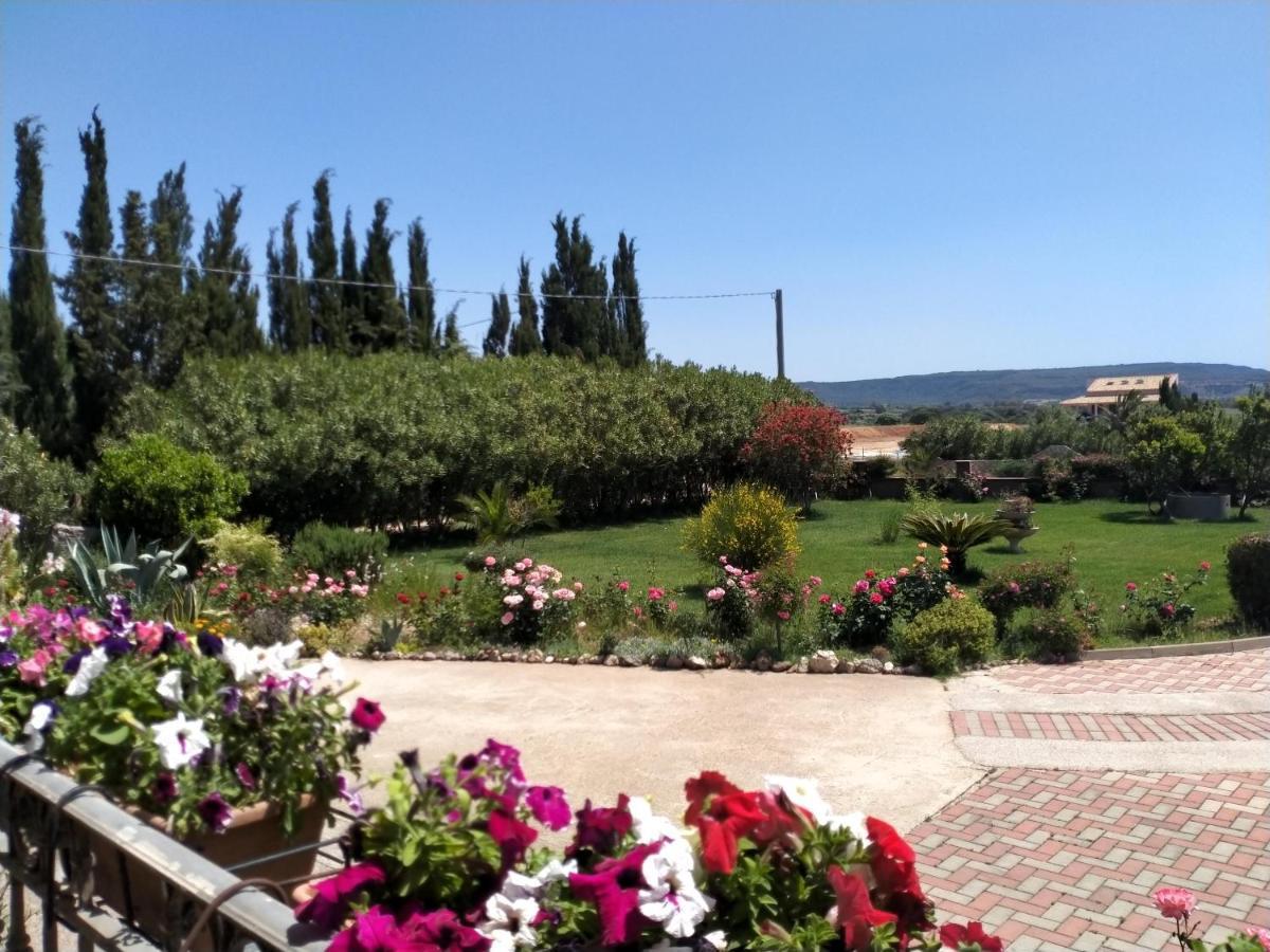 Apartamento Il Giardino Delle Rose A Olmedo Exterior foto