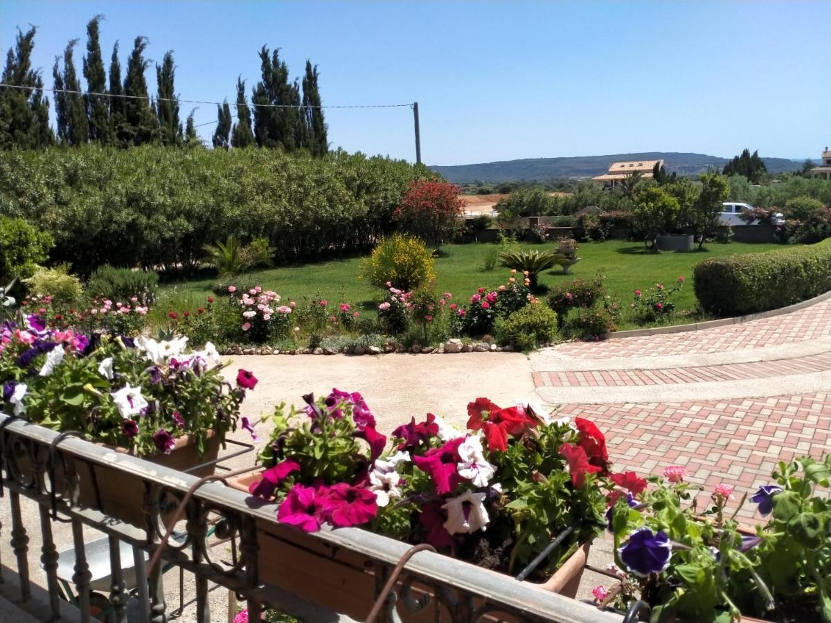 Apartamento Il Giardino Delle Rose A Olmedo Exterior foto