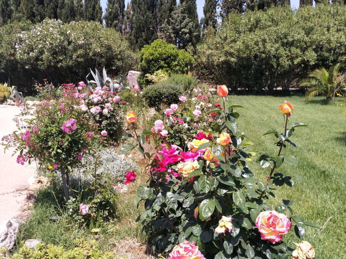 Apartamento Il Giardino Delle Rose A Olmedo Exterior foto