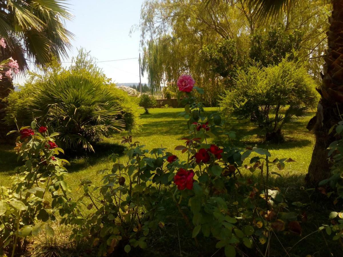 Apartamento Il Giardino Delle Rose A Olmedo Exterior foto