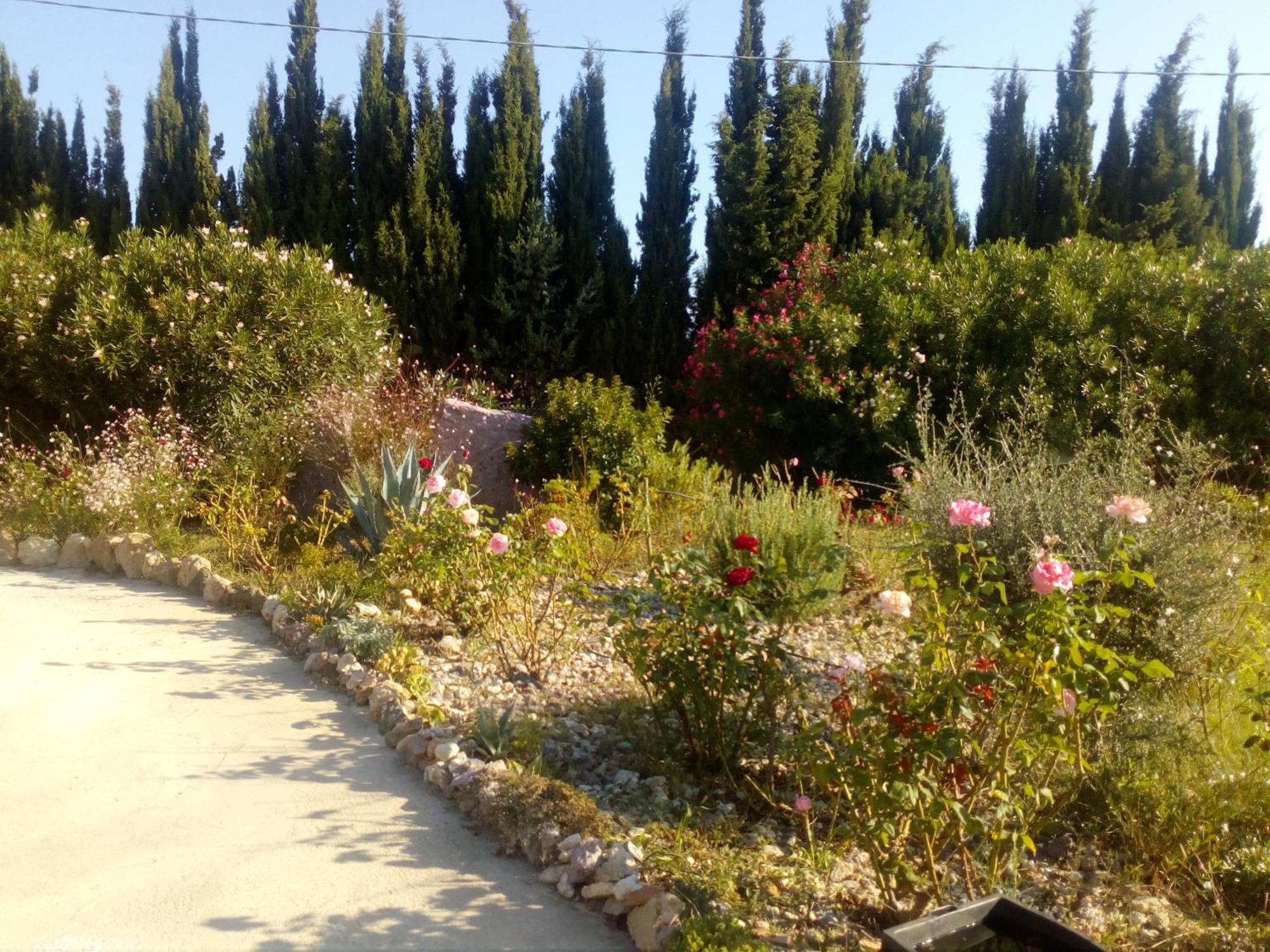 Apartamento Il Giardino Delle Rose A Olmedo Exterior foto