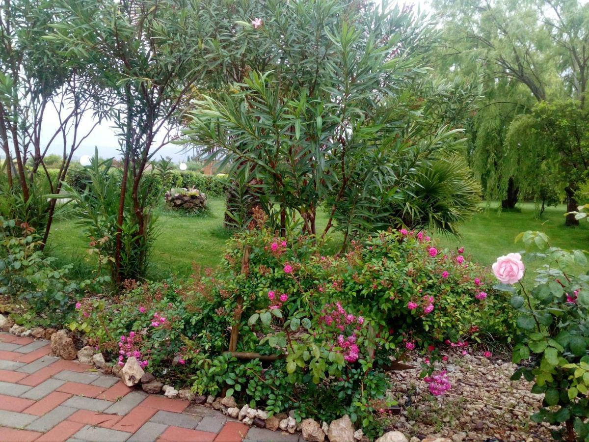 Apartamento Il Giardino Delle Rose A Olmedo Exterior foto