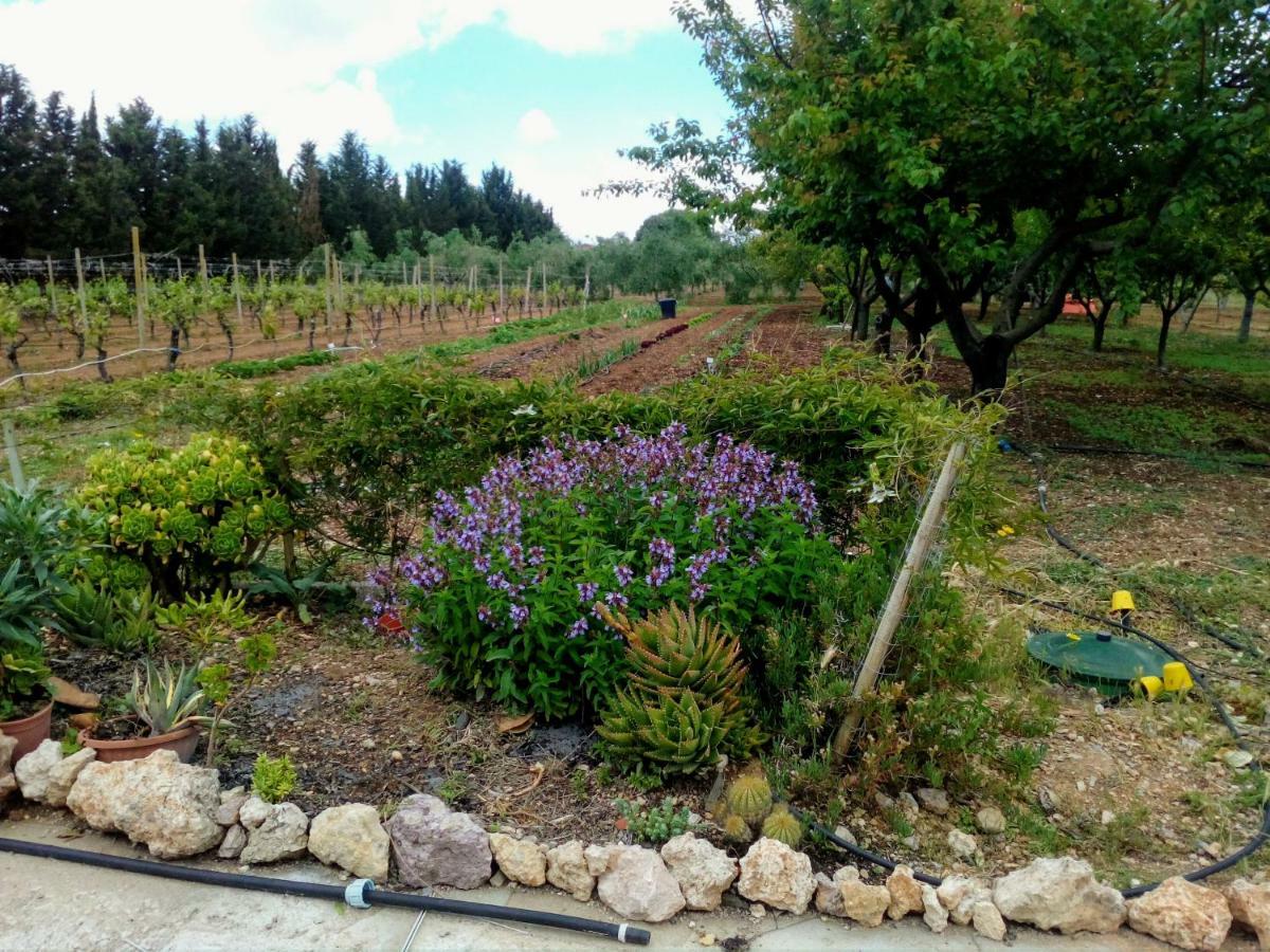 Apartamento Il Giardino Delle Rose A Olmedo Exterior foto