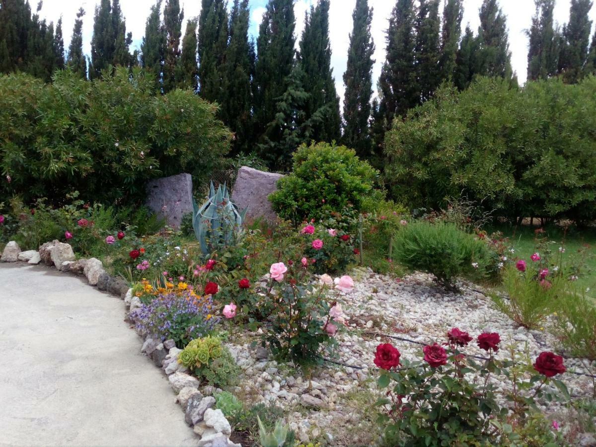 Apartamento Il Giardino Delle Rose A Olmedo Exterior foto