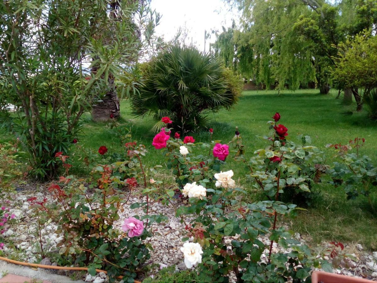 Apartamento Il Giardino Delle Rose A Olmedo Exterior foto