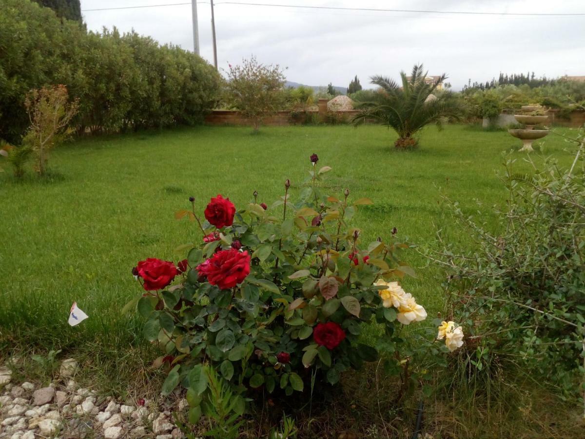 Apartamento Il Giardino Delle Rose A Olmedo Exterior foto