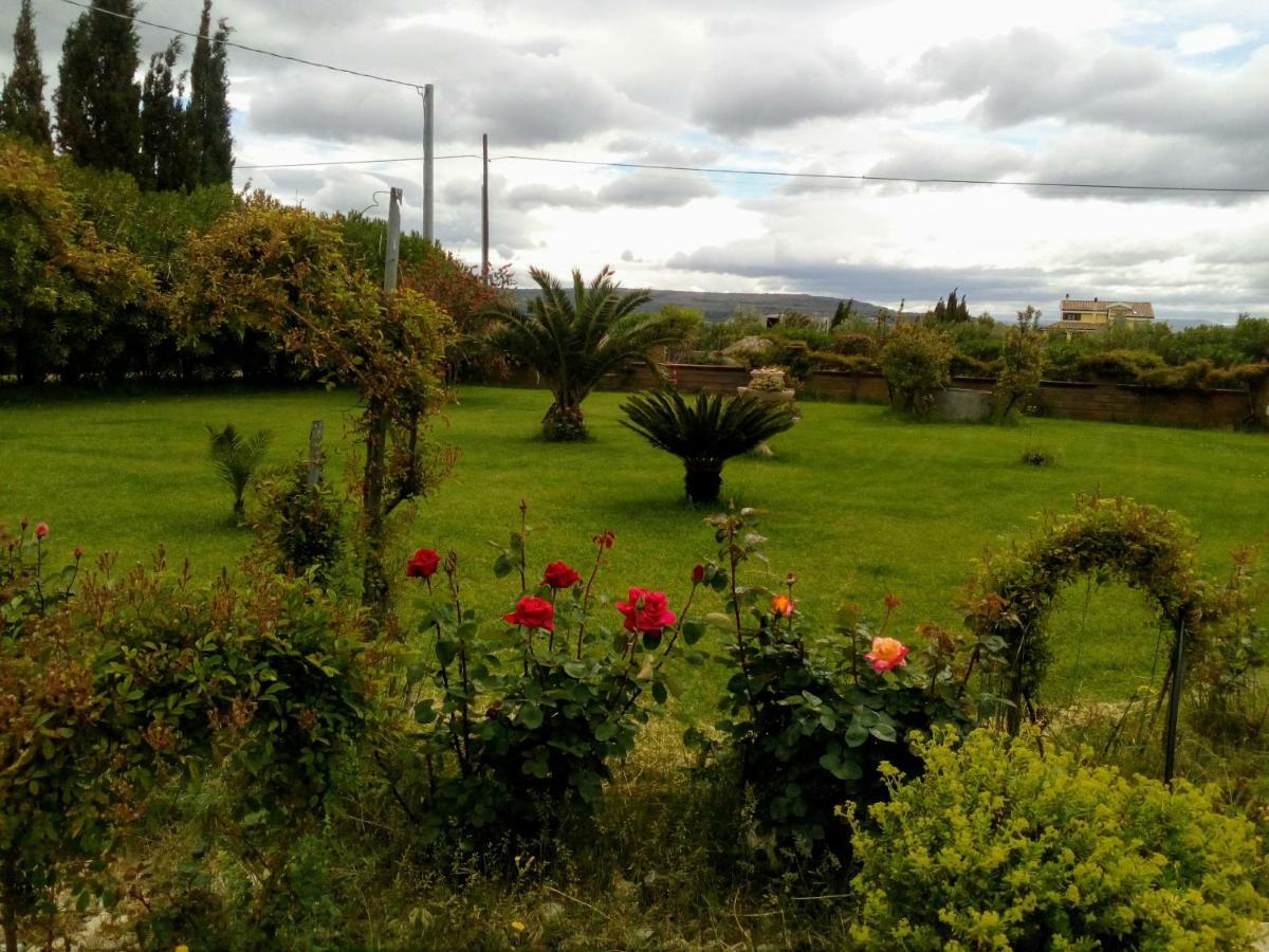 Apartamento Il Giardino Delle Rose A Olmedo Exterior foto