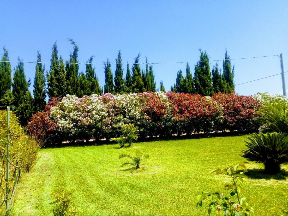 Apartamento Il Giardino Delle Rose A Olmedo Exterior foto