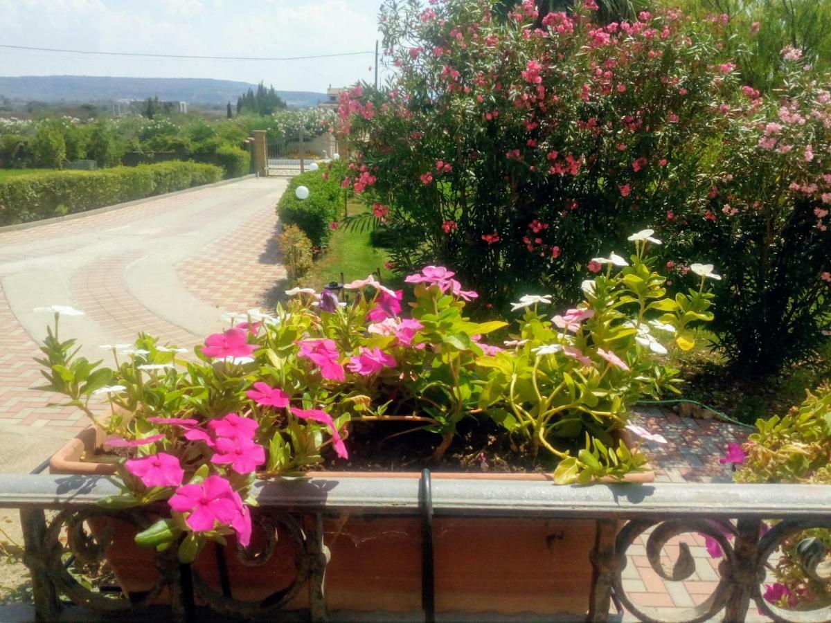 Apartamento Il Giardino Delle Rose A Olmedo Exterior foto