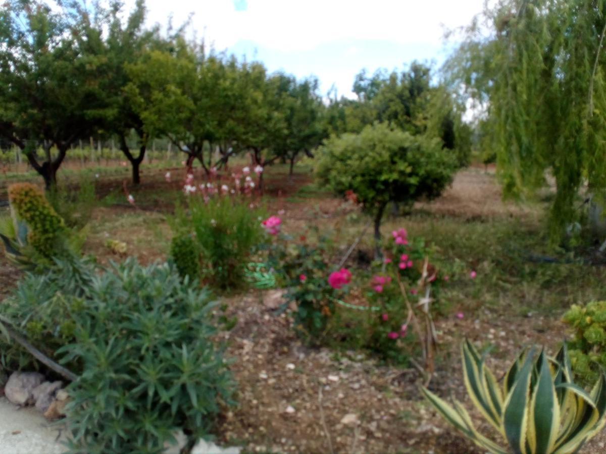 Apartamento Il Giardino Delle Rose A Olmedo Exterior foto