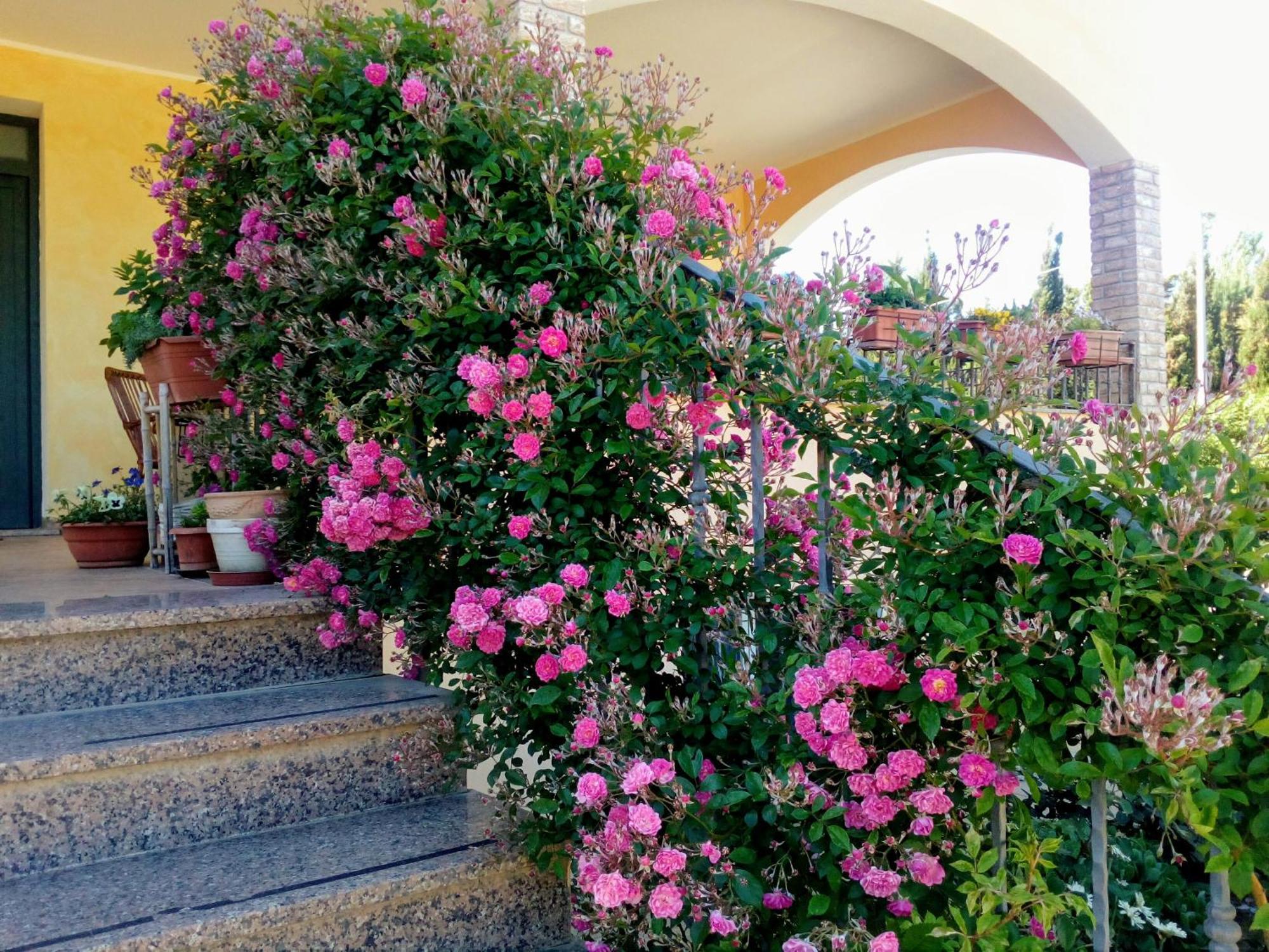 Apartamento Il Giardino Delle Rose A Olmedo Exterior foto