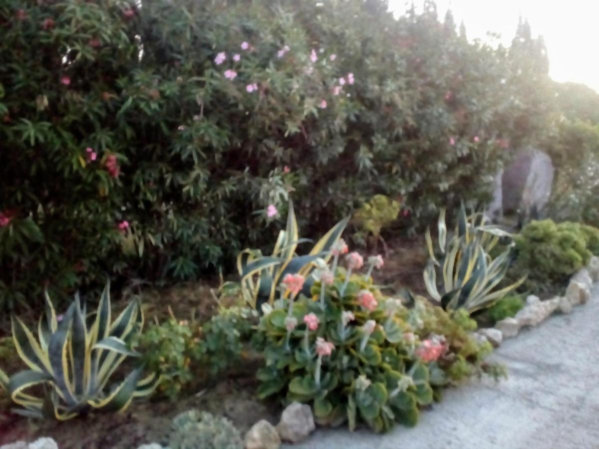 Apartamento Il Giardino Delle Rose A Olmedo Exterior foto