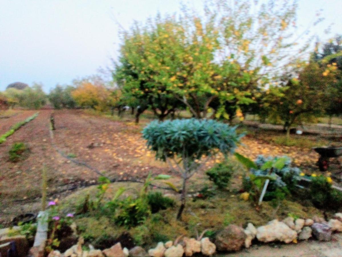 Apartamento Il Giardino Delle Rose A Olmedo Exterior foto