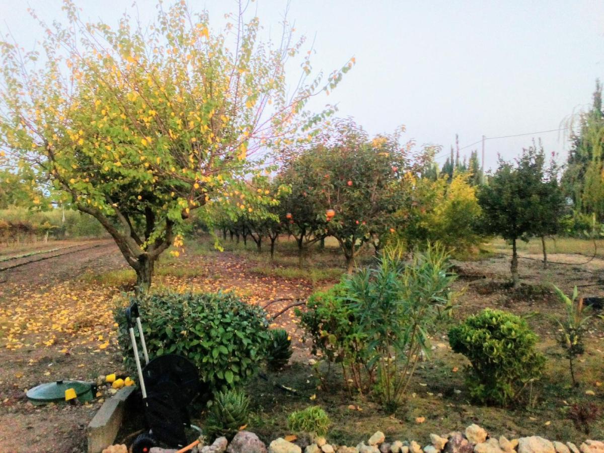 Apartamento Il Giardino Delle Rose A Olmedo Exterior foto